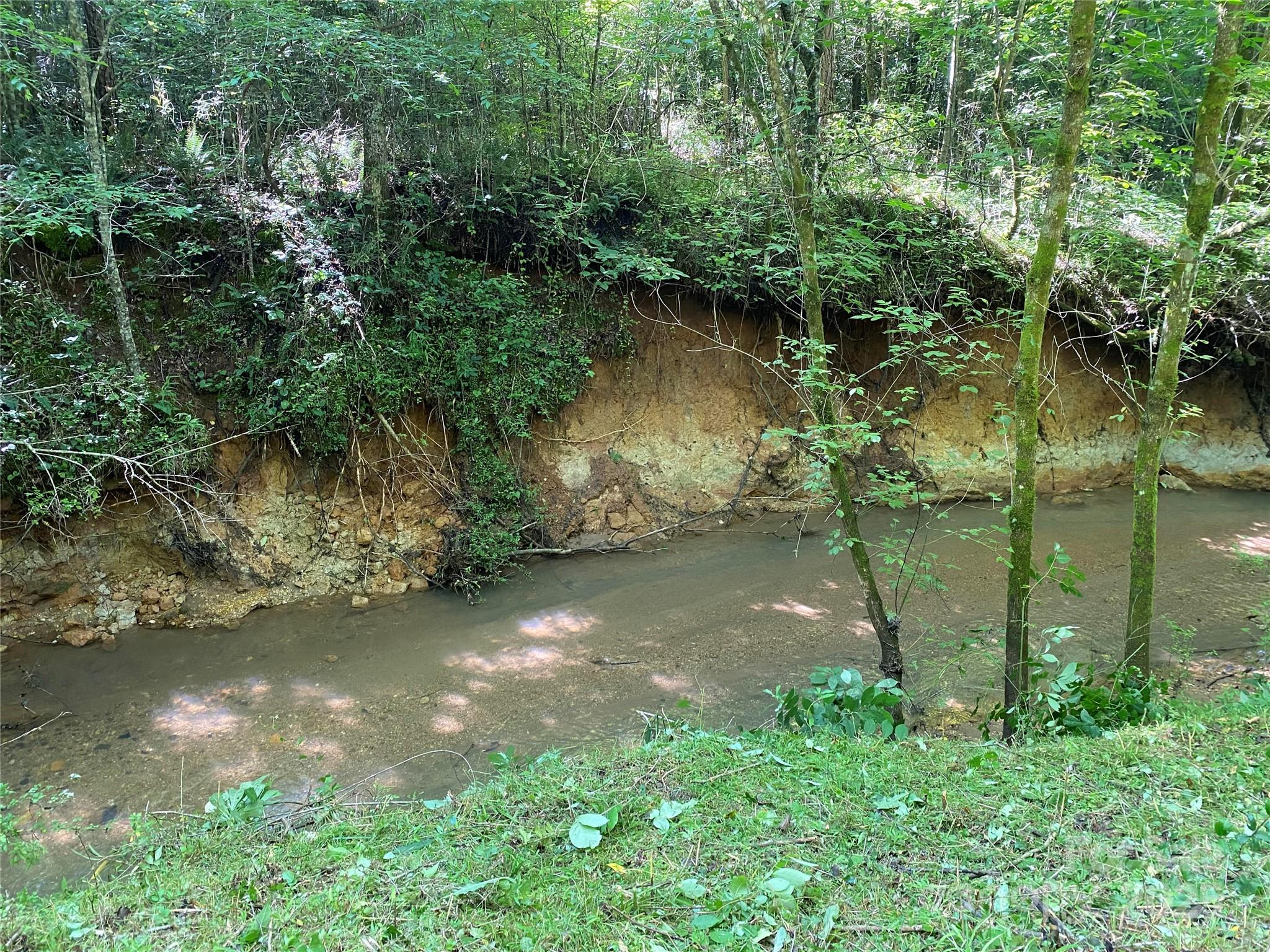 a view of a lake from a yard