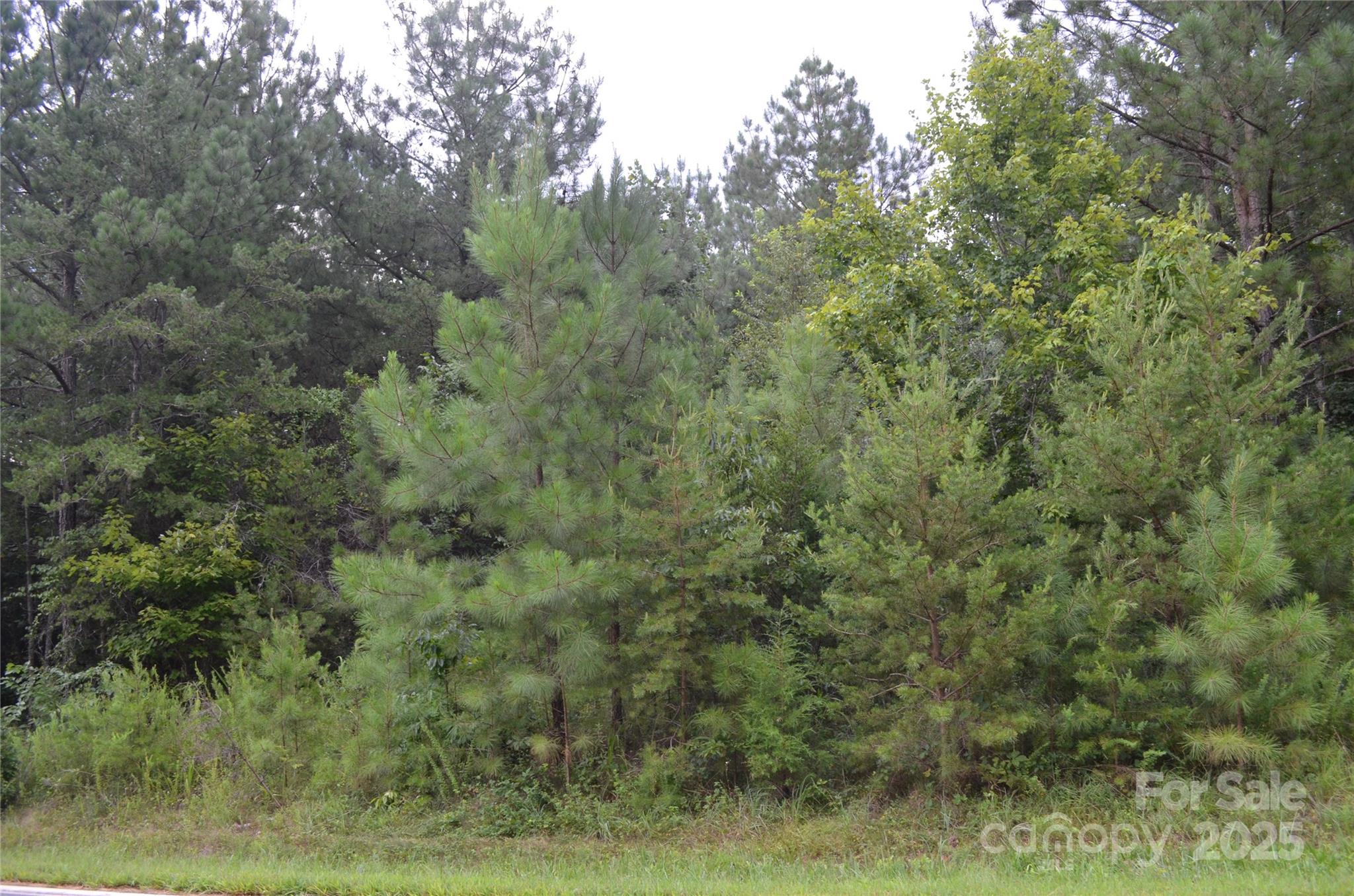 0 Old Morganton Road Rutherfordton, NC 28139 - Photo 12 of 15 a view of a field of grass and trees