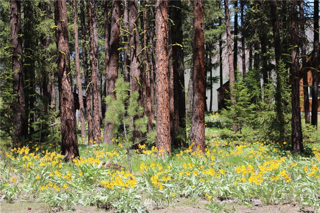 22 South Airstrip Road Twisp, WA 98856 - Photo 36 of 39 Gallery Image 36