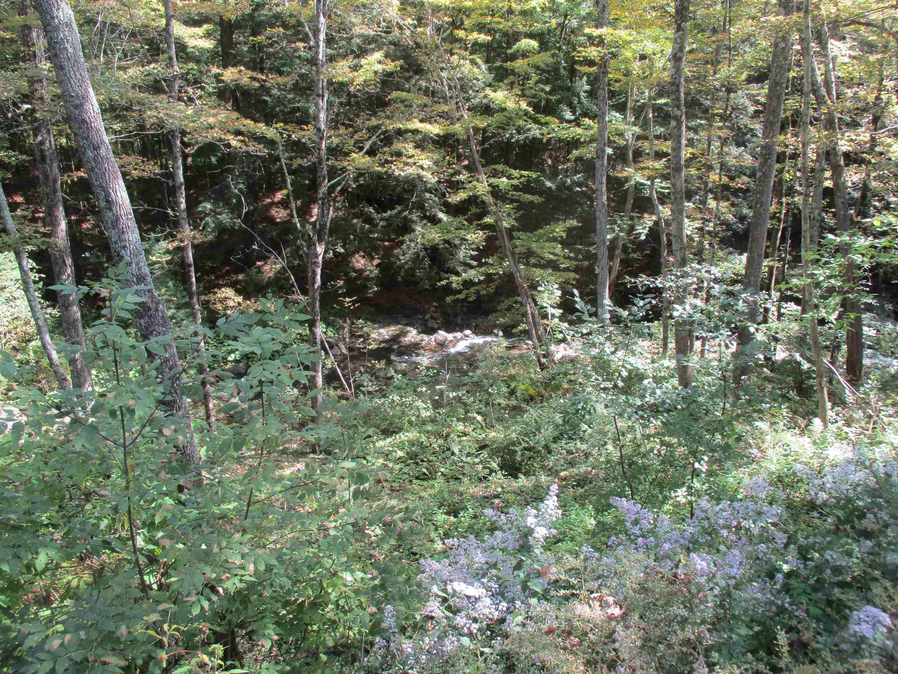 564 Highway 66 Randolph, VT 05060 - Photo 24 of 25