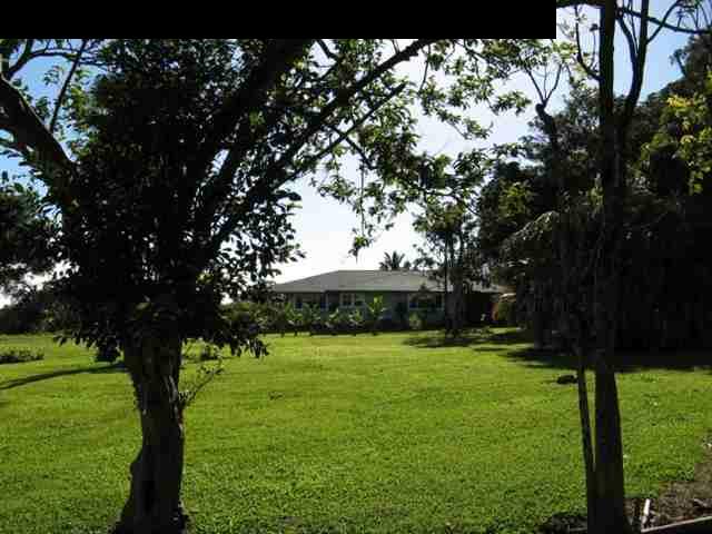 21 Awalau Road Haiku, HI 96708 - Photo 2 of 30 a view of a garden with a tree