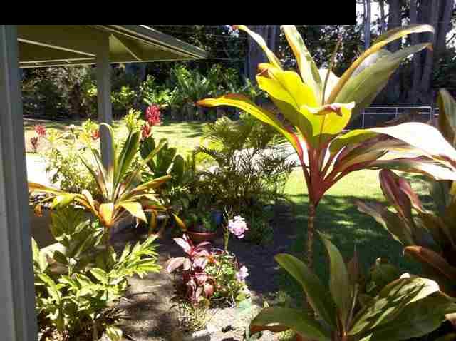 21 Awalau Road Haiku, HI 96708 - Photo 24 of 30 a view of a flower in a garden