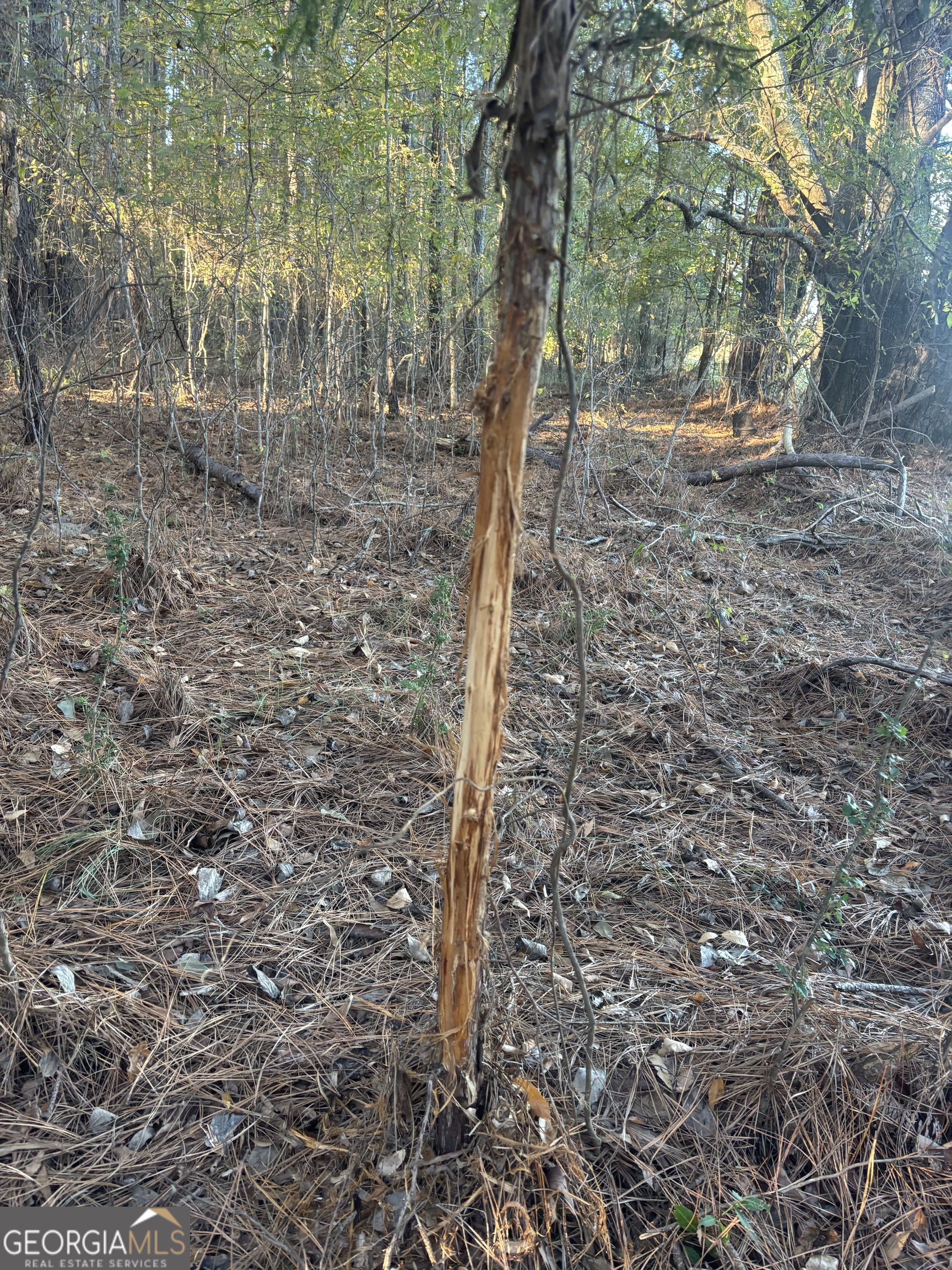 0 Vinson Road Tignall, GA 30668 - Photo 3 of 8