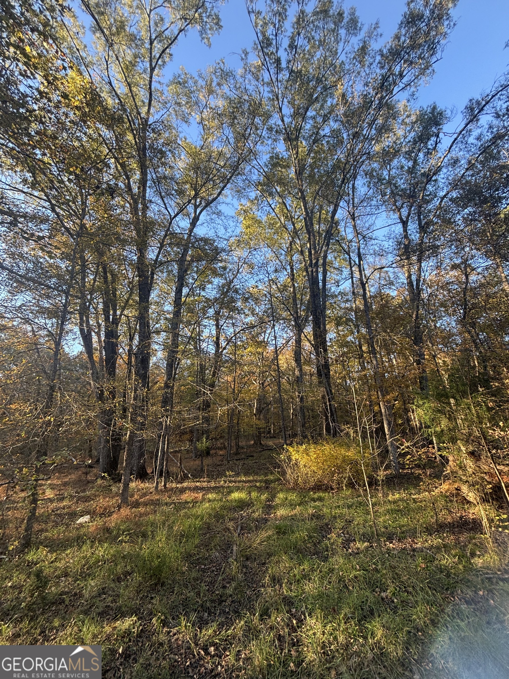 0 Vinson Road Tignall, GA 30668 - Photo 4 of 8