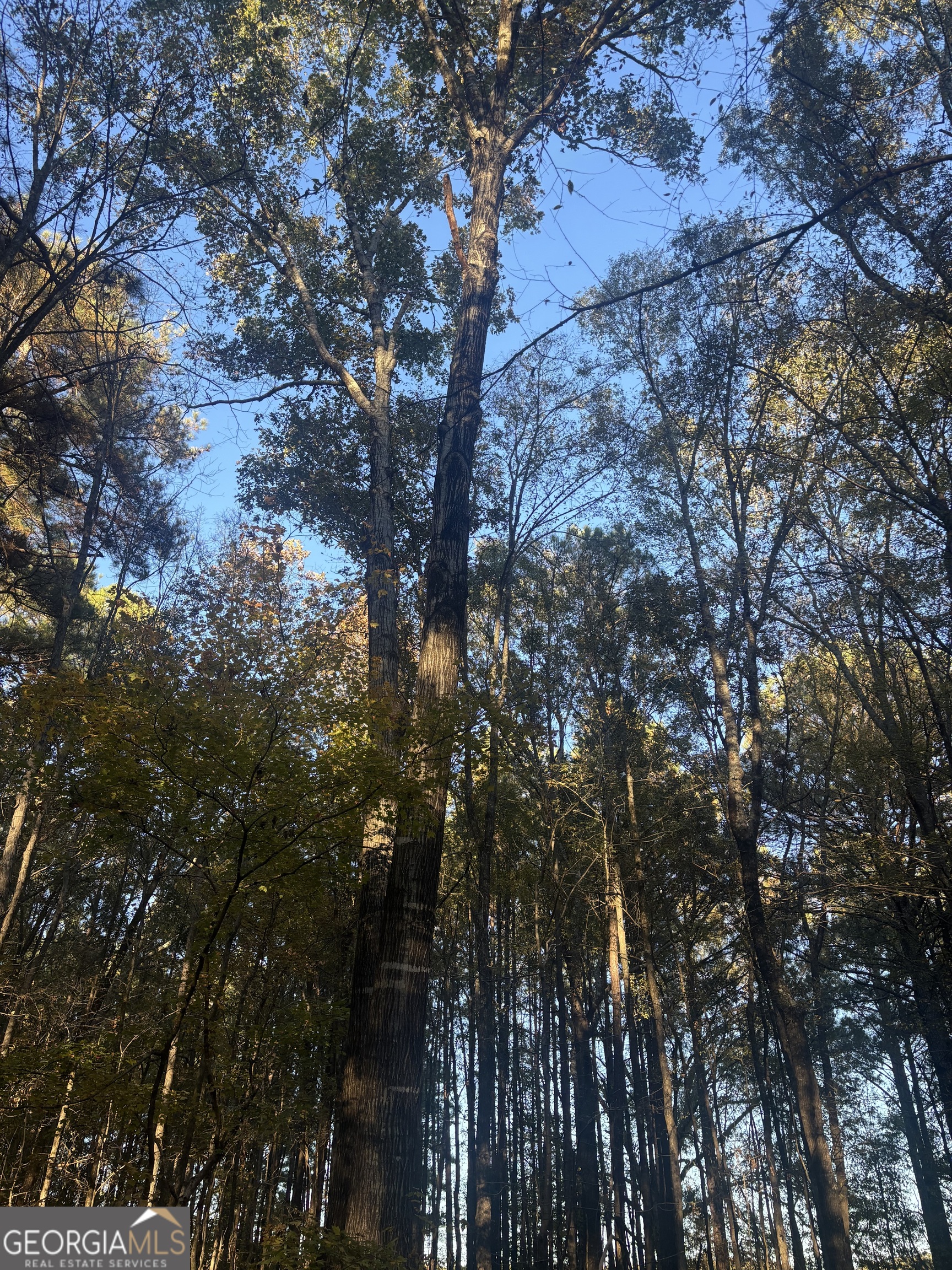 0 Vinson Road Tignall, GA 30668 - Photo 7 of 8