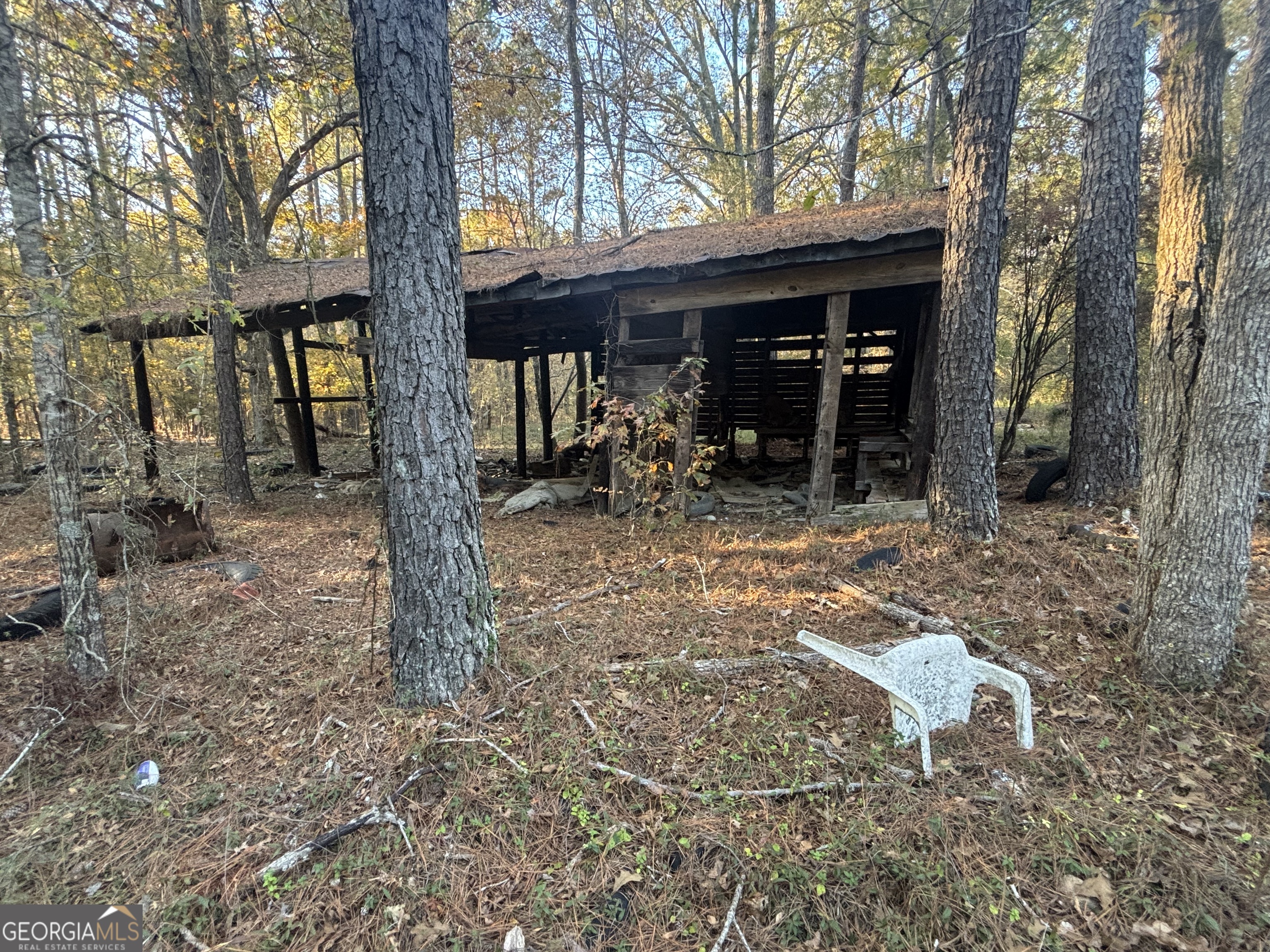 0 Vinson Road Tignall, GA 30668 - Photo 8 of 8