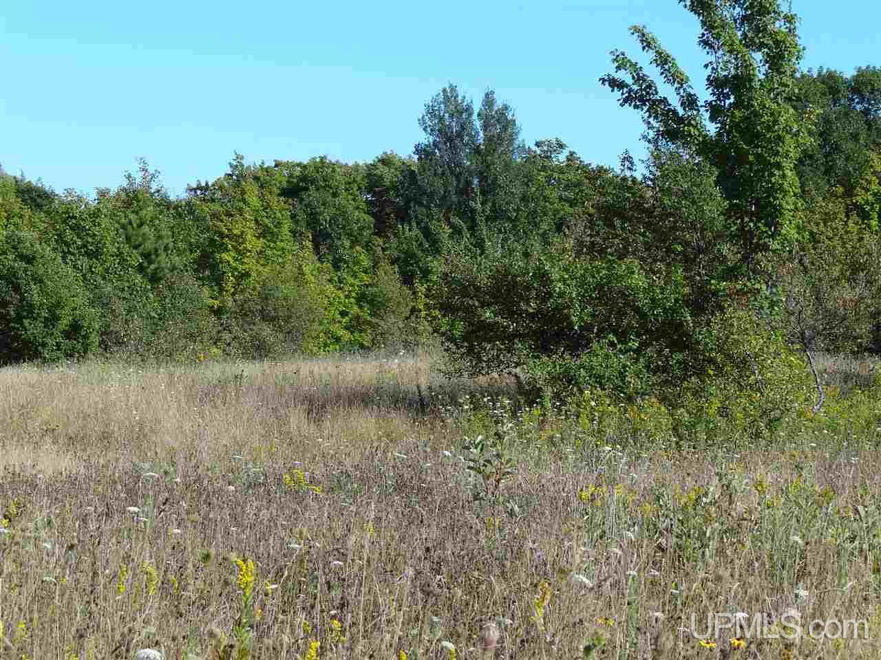 Tbd Cemetery Road Atlantic Mine, MI 49963 - Photo 26 of 27