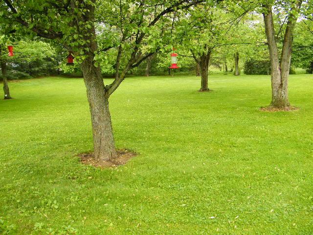 4720 York Road Southwest Pataskala, OH 43062 - Photo 31 of 39