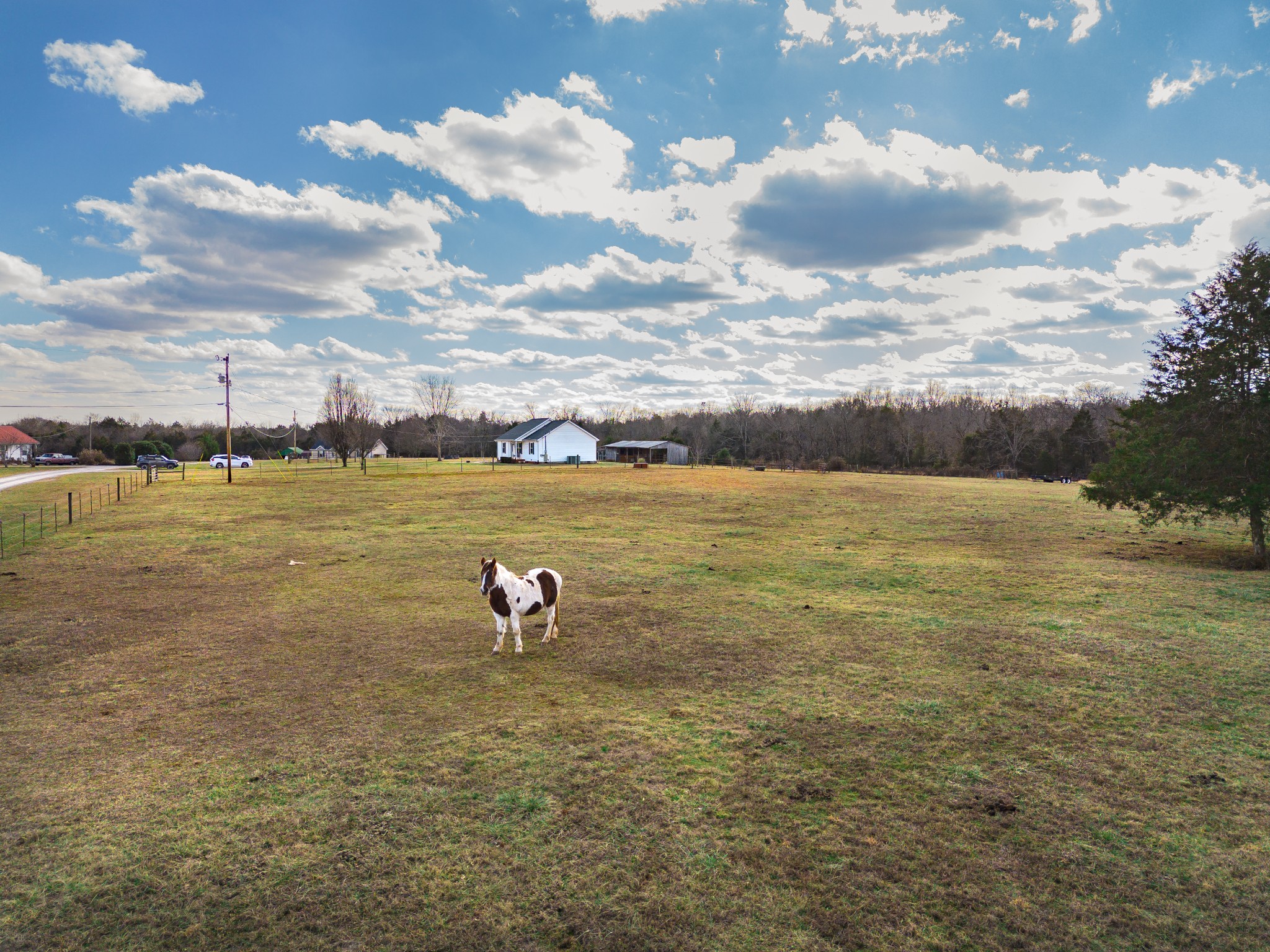2405 Bob Cheek Road Lewisburg, TN 37091 - Photo 16 of 67 Gallery Image 16