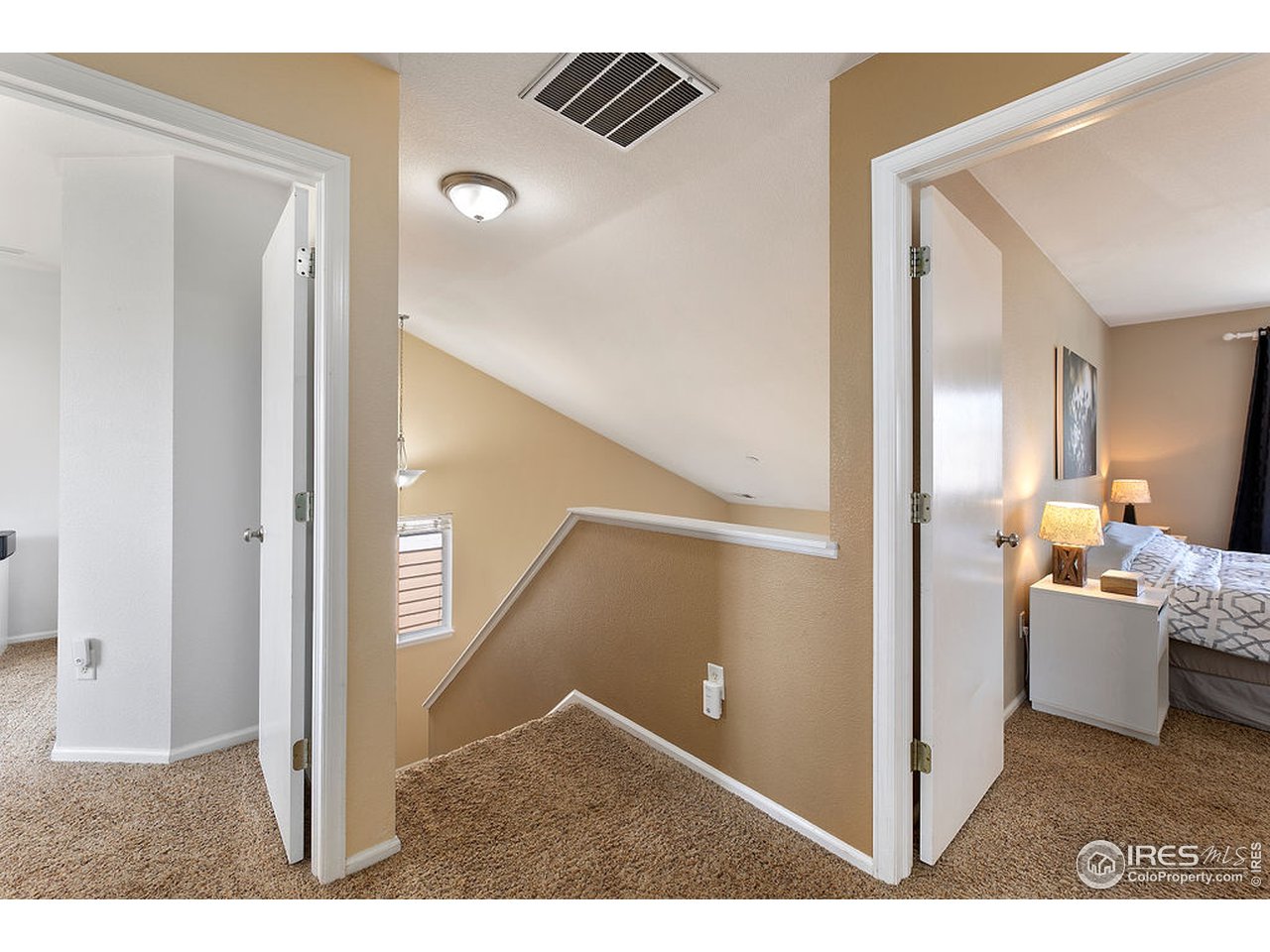 3921 Rannoch Street Fort Collins, CO 80524 - Photo 24 of 27 Gallery Image 24