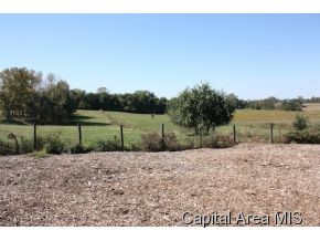 8133 Hendrickson Road Rochester, IL 62563 - Photo 14 of 18