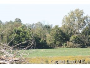 8133 Hendrickson Road Rochester, IL 62563 - Photo 17 of 18