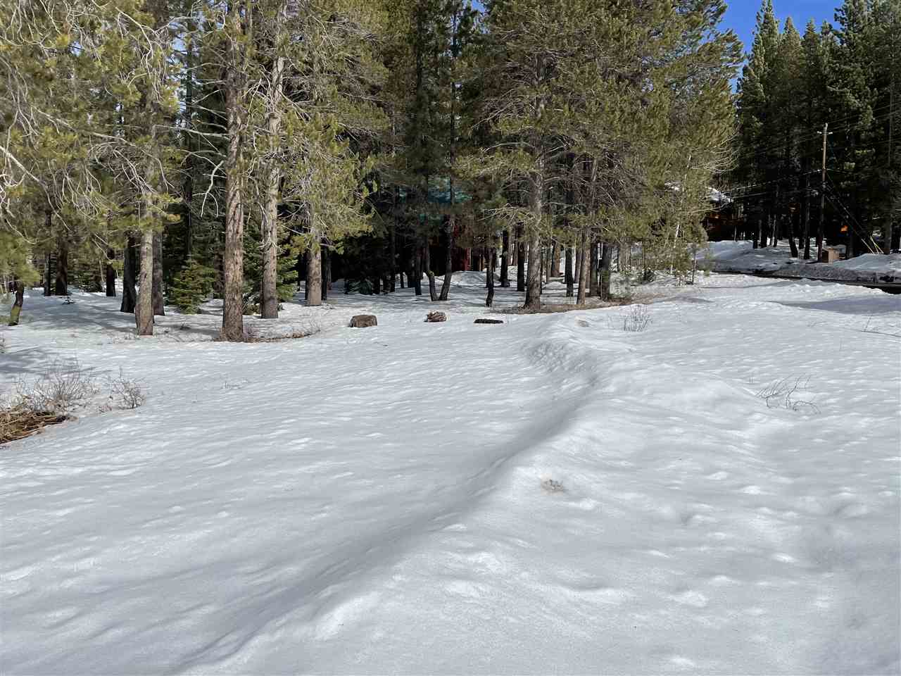 11217 Bennett Flat Road Truckee, CA 96161 - Photo 4 of 21 Gallery Image 4