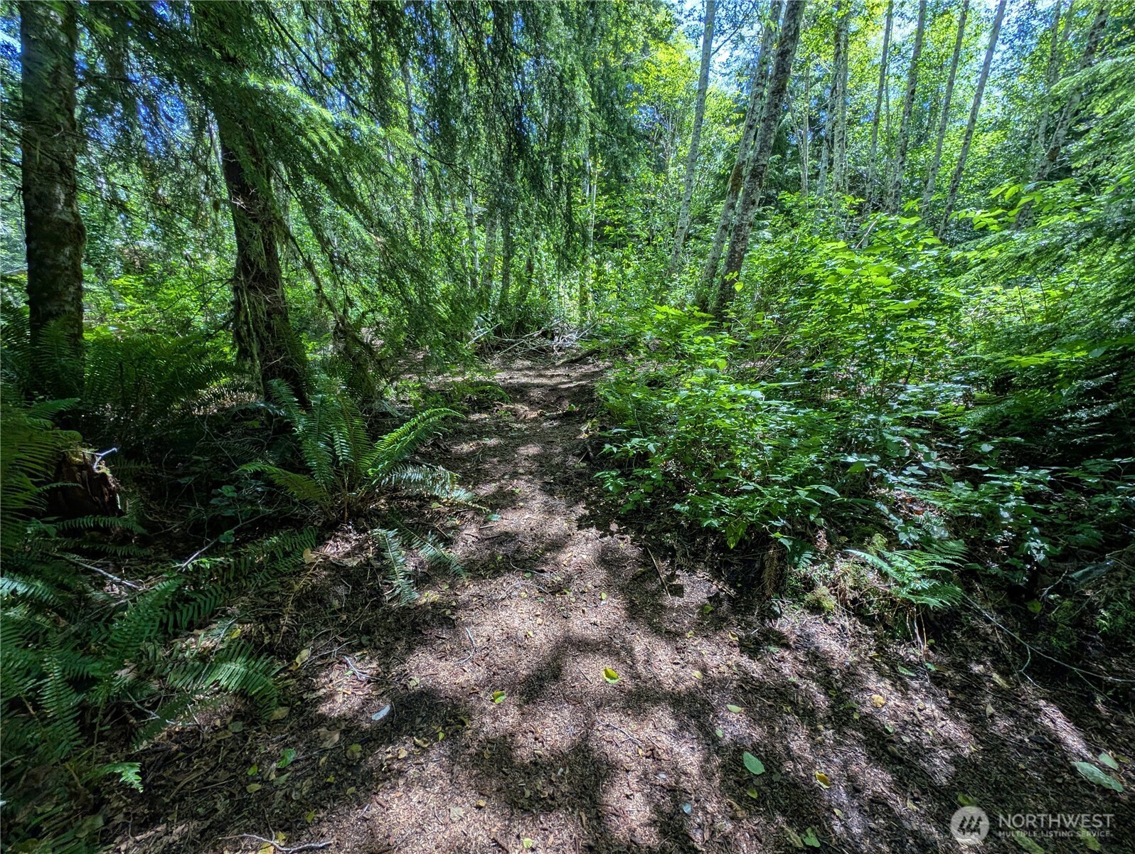 181327 Highway 101 Forks, WA 98331 - Photo 16 of 39