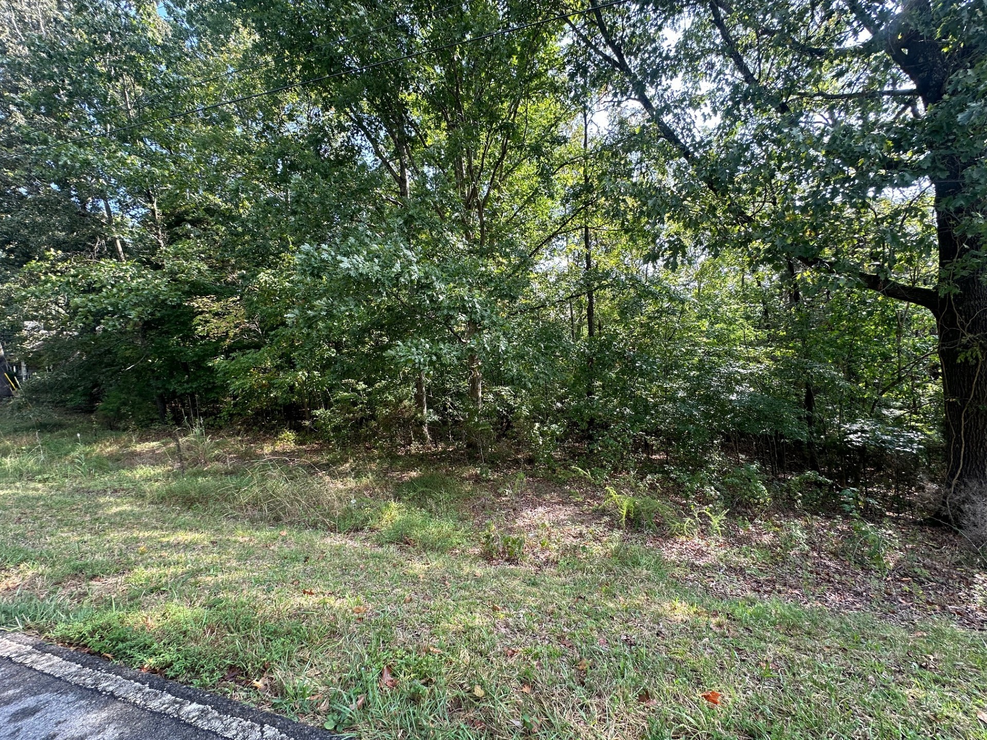 0 Bearden Road Clarksville, TN 37043 - Photo 2 of 5 a view of a yard with a tree