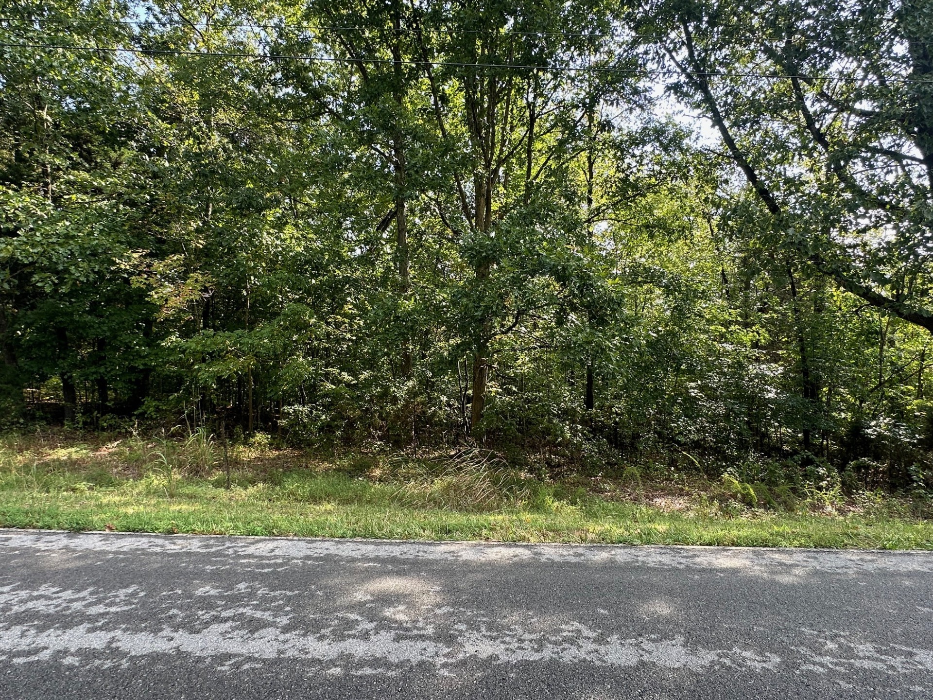 0 Bearden Road Clarksville, TN 37043 - Photo 3 of 5 a view of a yard with a tree