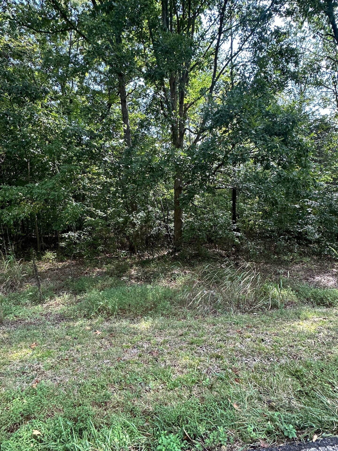0 Bearden Road Clarksville, TN 37043 - Photo 4 of 5 a view of outdoor space and trees
