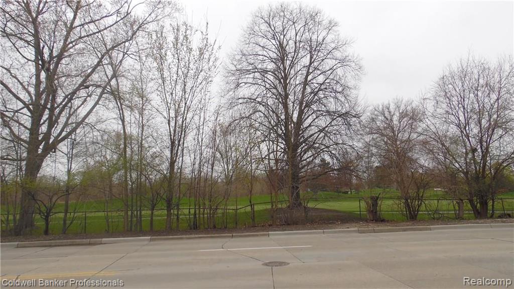 1128 Vernier Road Grosse Pointe Woods, MI 48236 - Photo 4 of 48