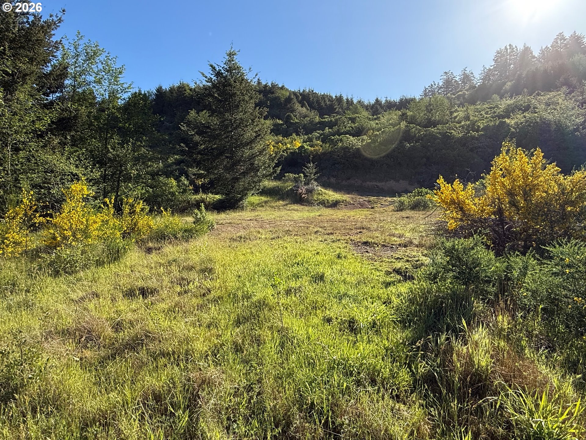 Jodel Court, Unit 2 Brookings, OR 97415 - Photo 11 of 14 a view of a lake with a mountain