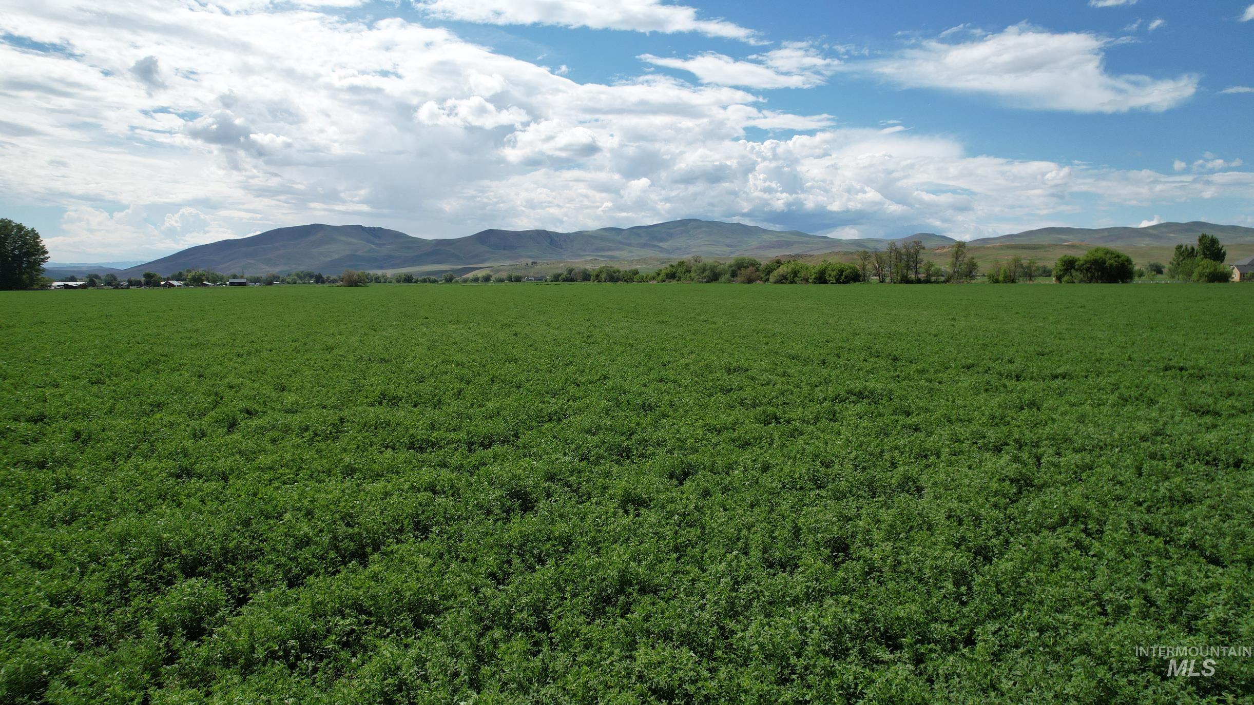 0 Olds Ferry Road Weiser, ID 83672 - Photo 6 of 6