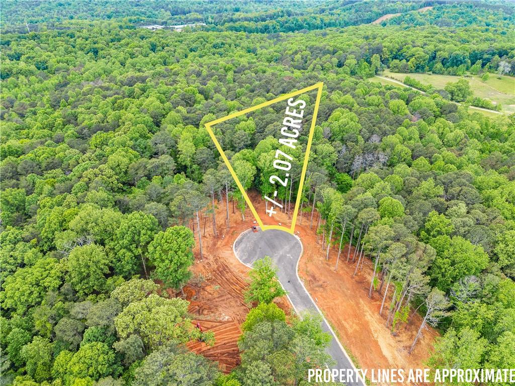 5 Lowe Lane Jasper, GA 30143 - Photo 10 of 16 a view of a yard with plants