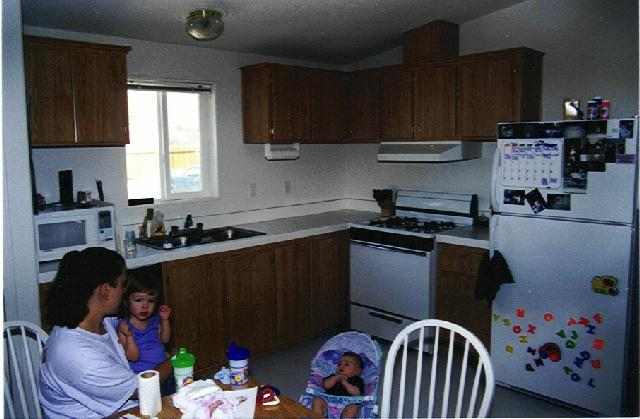 168 Rose Peak Road Dayton, NV 89403 - Photo 3 of 4 Gallery Image 3