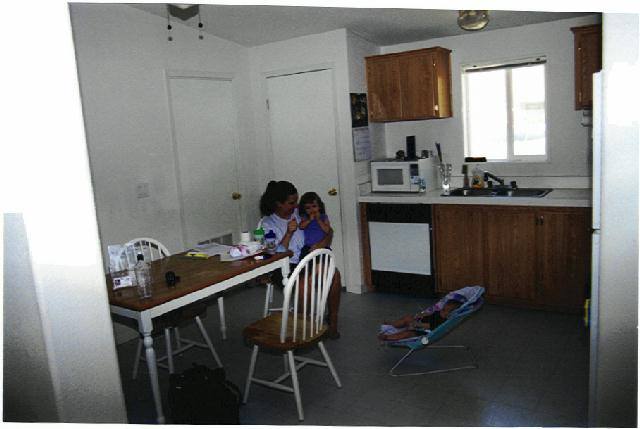 168 Rose Peak Road Dayton, NV 89403 - Photo 4 of 4 Gallery Image 4