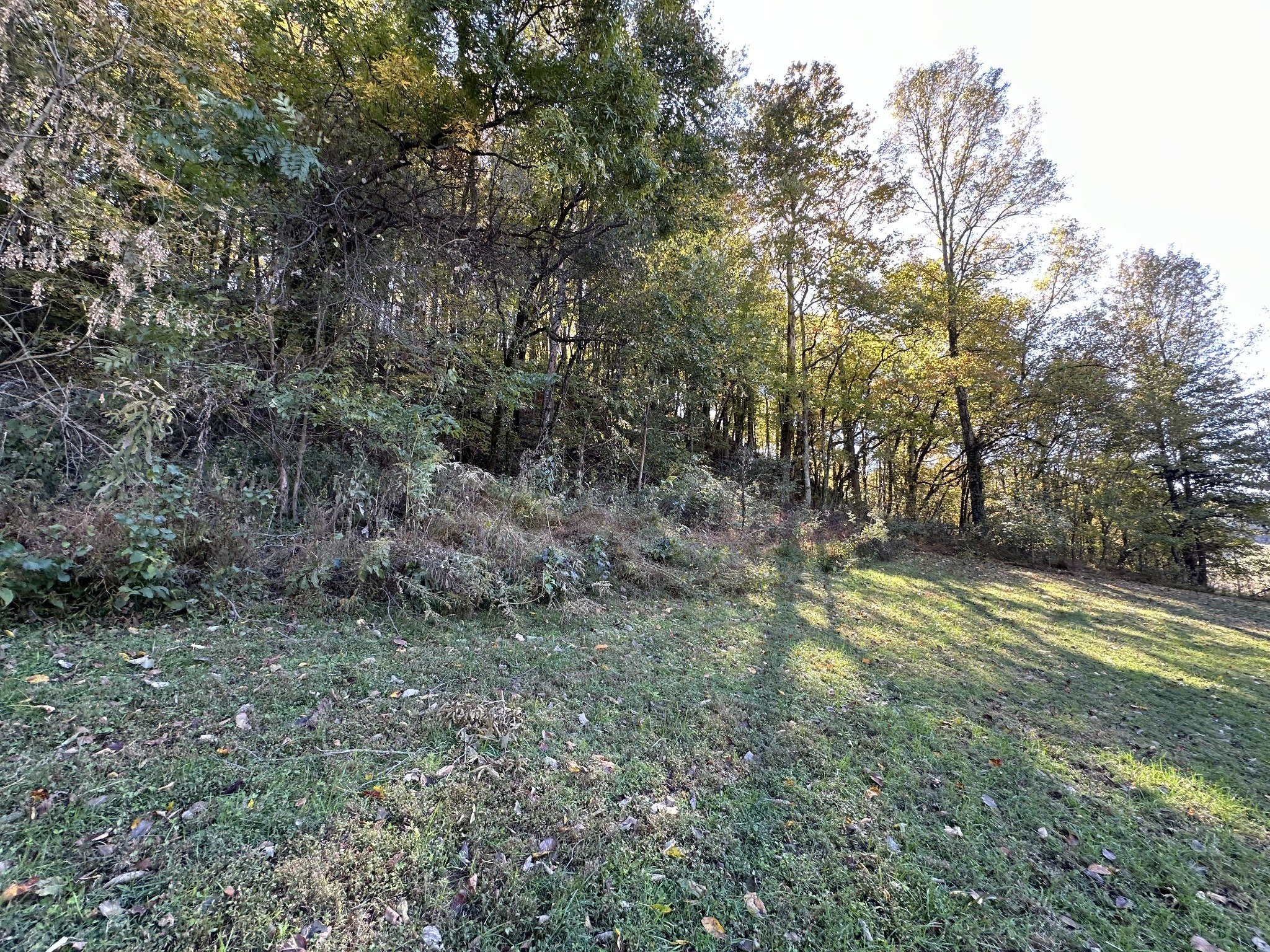 428 Turkey Creek Road Carthage, TN 37030 - Photo 29 of 47 Gallery Image 29