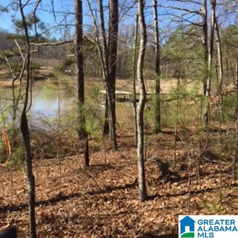 338 Davis Acres Drive, Unit 1 Alpine, AL 35014 - Photo 12 of 19
