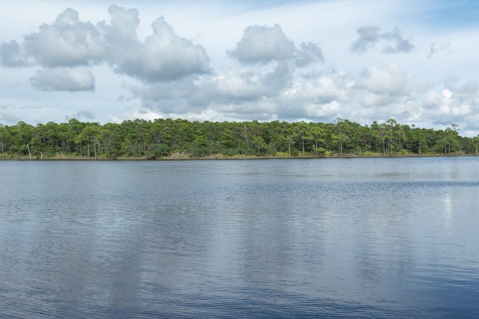 Lot 36 Grande Pointe Circle Inlet Beach, FL 32461 - Photo 11 of 20 a view of a lake from a yard