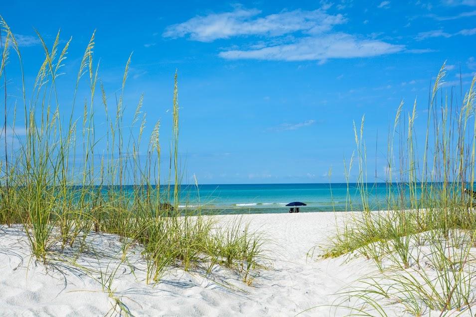 Lot 36 Grande Pointe Circle Inlet Beach, FL 32461 - Photo 15 of 20 a view of a garden