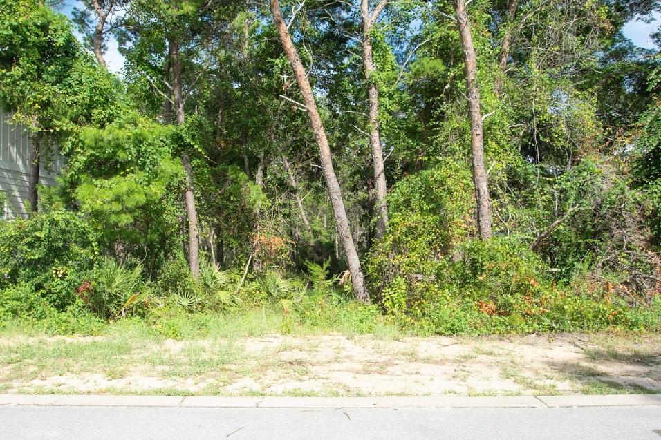 Lot 36 Grande Pointe Circle Inlet Beach, FL 32461 - Photo 20 of 20 a backyard of a house with lots of green space