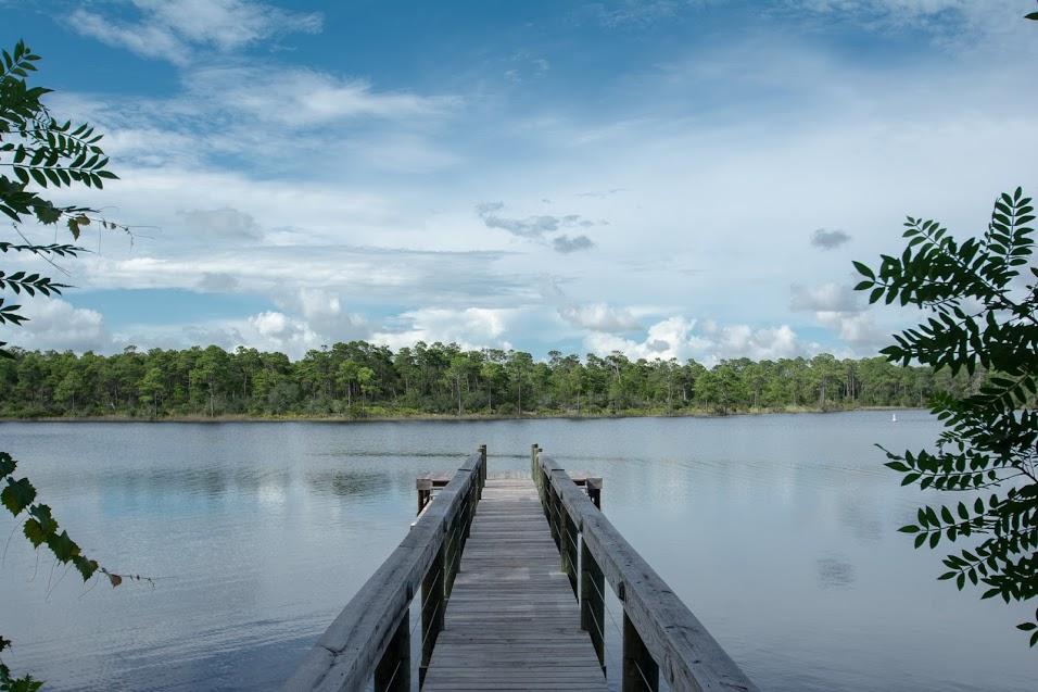Lot 36 Grande Pointe Circle Inlet Beach, FL 32461 - Photo 10 of 20 a view of a lake with a lake