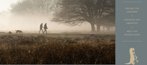3021 Del Rio Pike Franklin, TN 37069 - Photo 4 of 4 a view of a yard