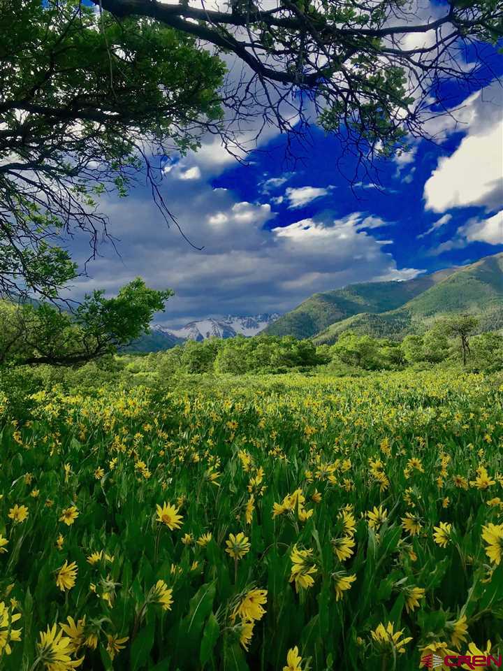2529 County Road 124 Mancos, CO 81328 - Photo 31 of 34 a view of a yard