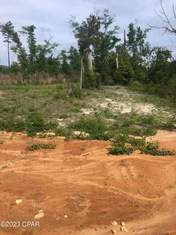 $64,900 | 0 Northwest Nw Bailey Cemetary, Clarksville, FL 32430