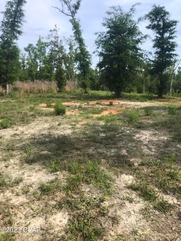 $64,900 | 0 Northwest Nw Bailey Cemetary, Clarksville, FL 32430