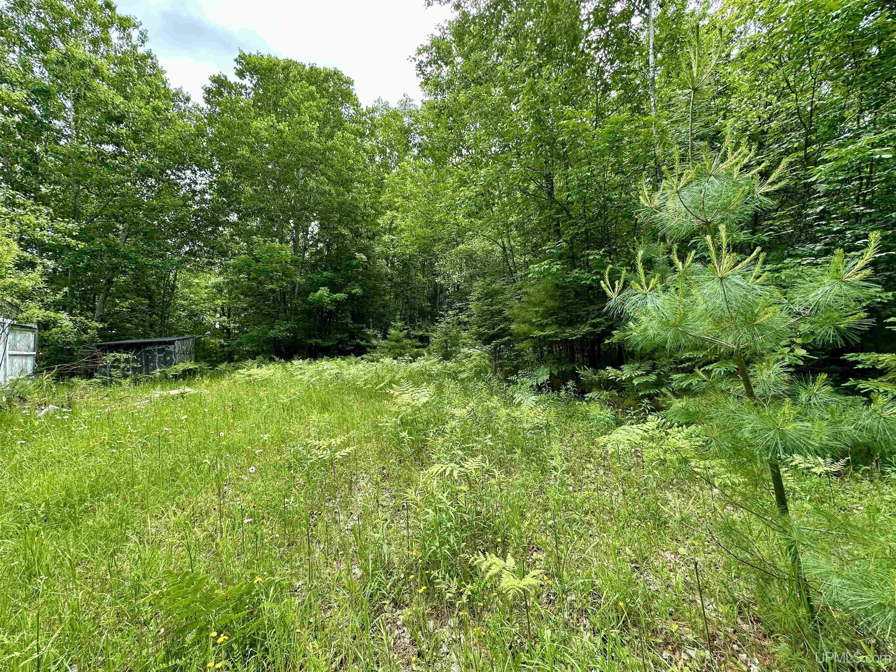 Tbd Tbd Homestead Road Vulcan, MI 49892 - Photo 8 of 10