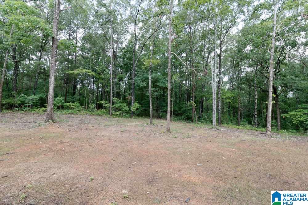21305 Callie Circle McCalla, AL 35111 - Photo 44 of 50