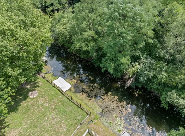 a view of a yard with plants