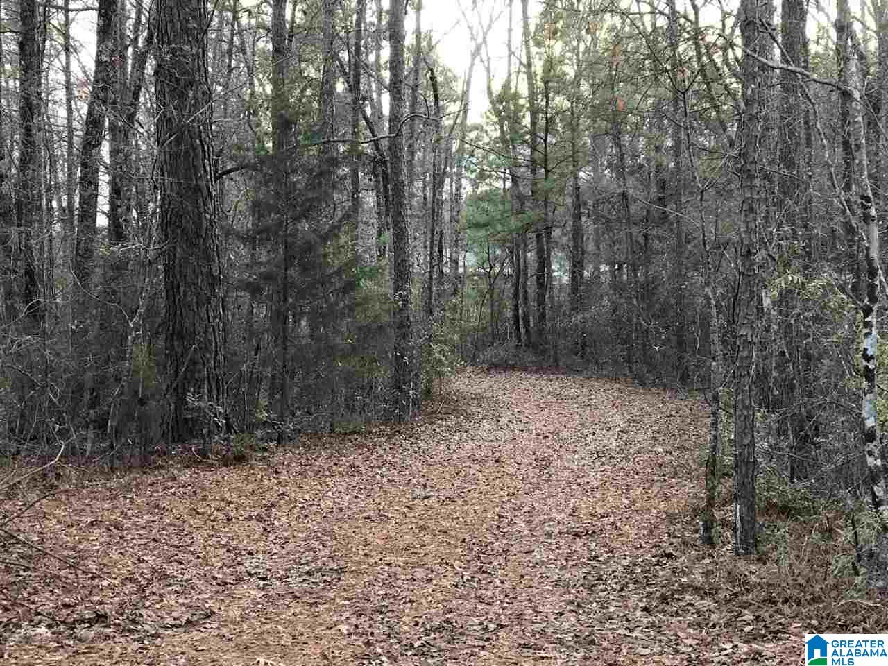 12186 Plowman Road, Unit 2 ACRES Gordo, AL 35466 - Photo 1 of 5