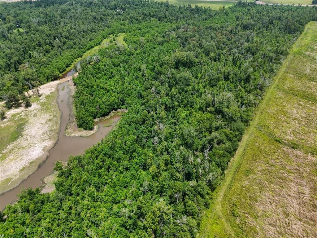 636 Coonie Jackson Road Ragley, LA 70657 - Photo 4 of 9