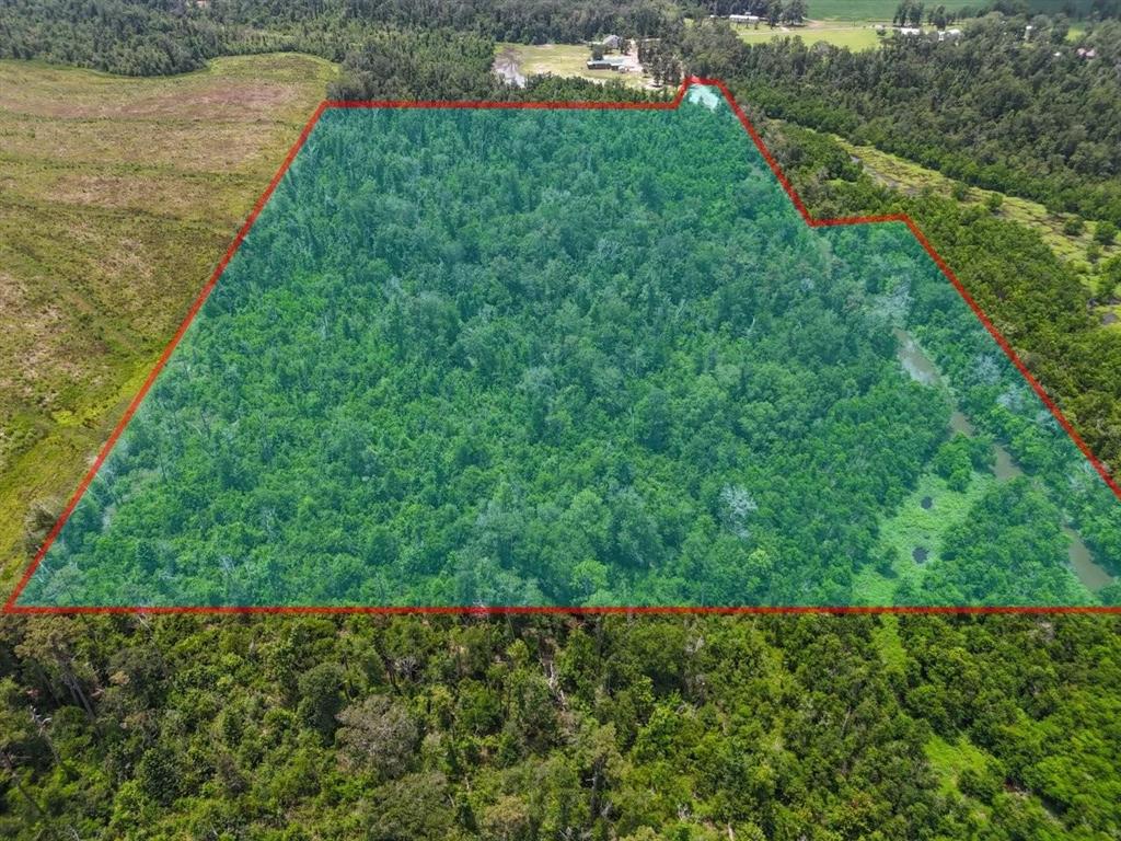 636 Coonie Jackson Road Ragley, LA 70657 - Photo 6 of 9