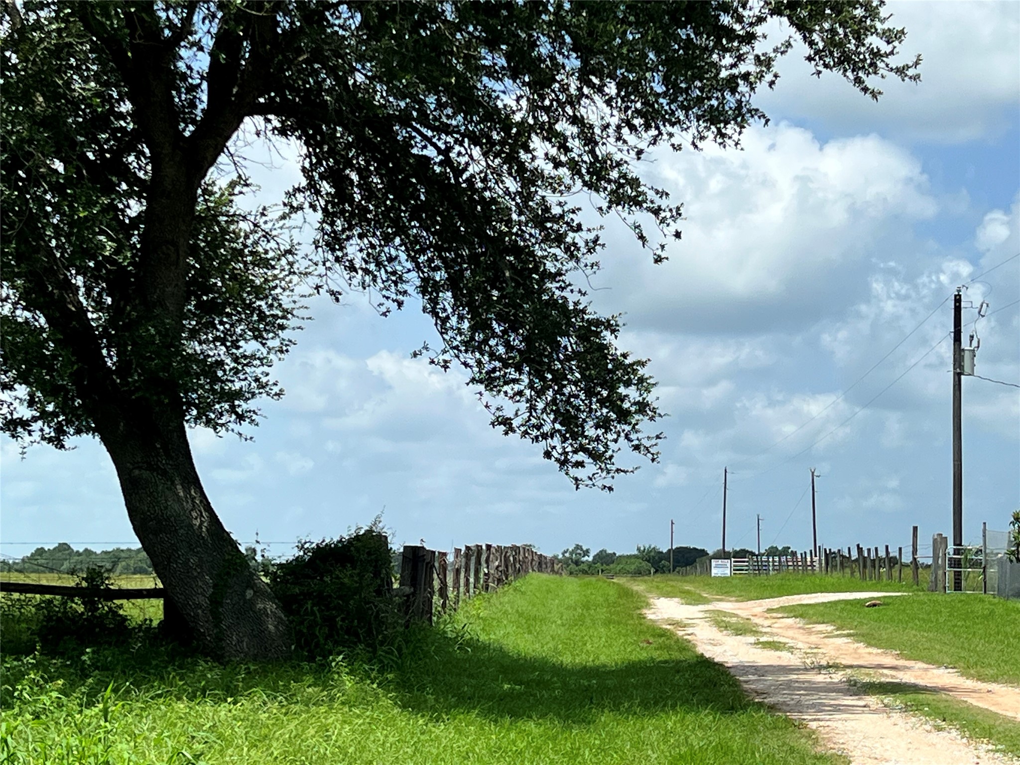 20573 Fontenot Lane Hempstead, TX 77445 - Photo 1 of 32 Charming rural setting with a private easement leading through lush green fields, bordered by wooden fences. A large tree provides shade, and the open sky creates a peaceful, expansive view. Ideal for those seeking tranquility.