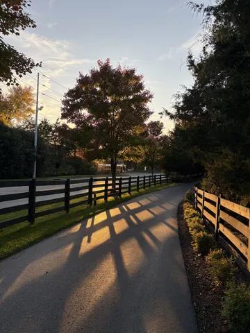 a view of outdoor space with deck and tree
