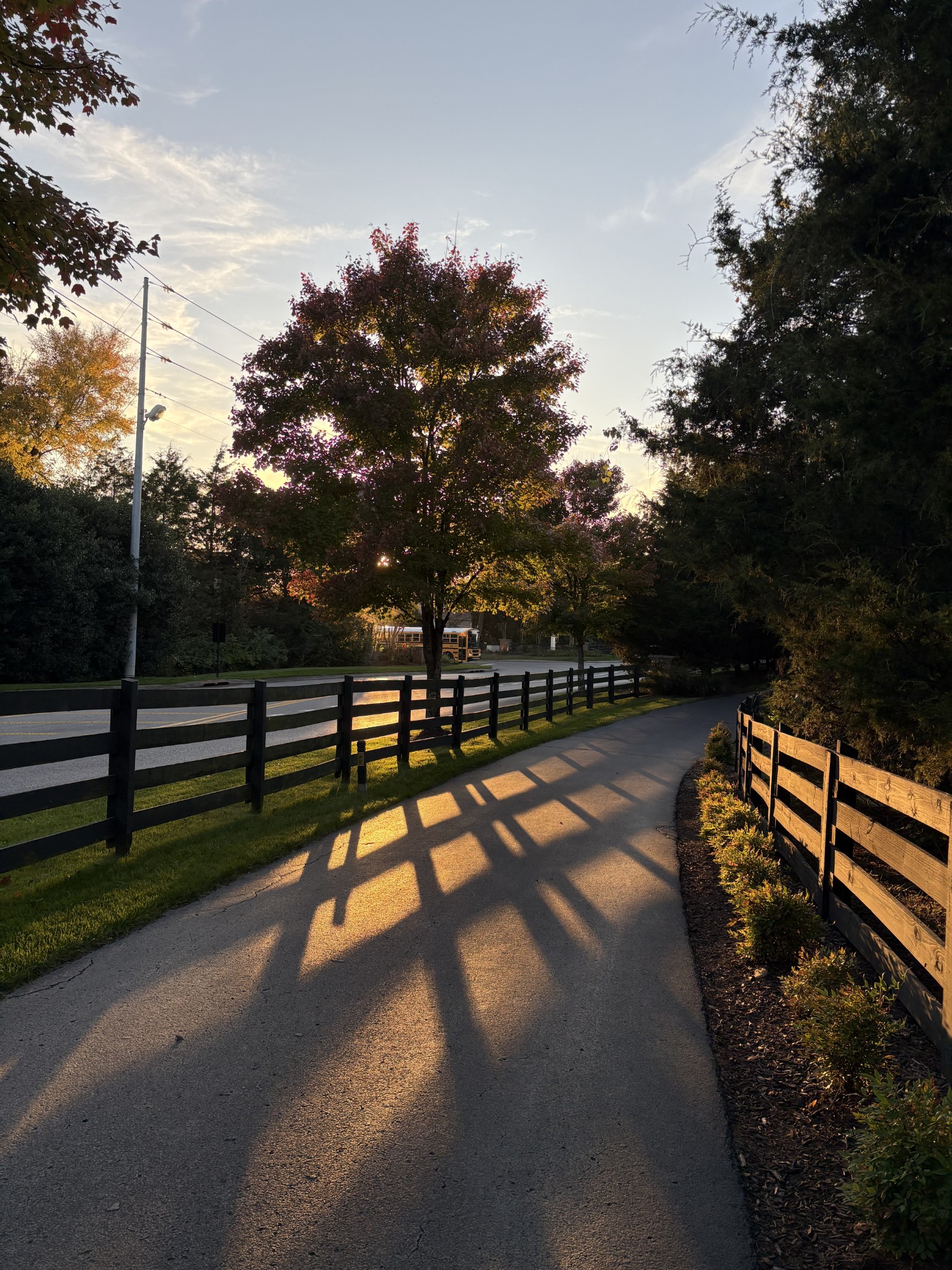 4549 Boxcroft Circle Mount Juliet, TN 37122 - Photo 28 of 28 a view of outdoor space with deck and tree
