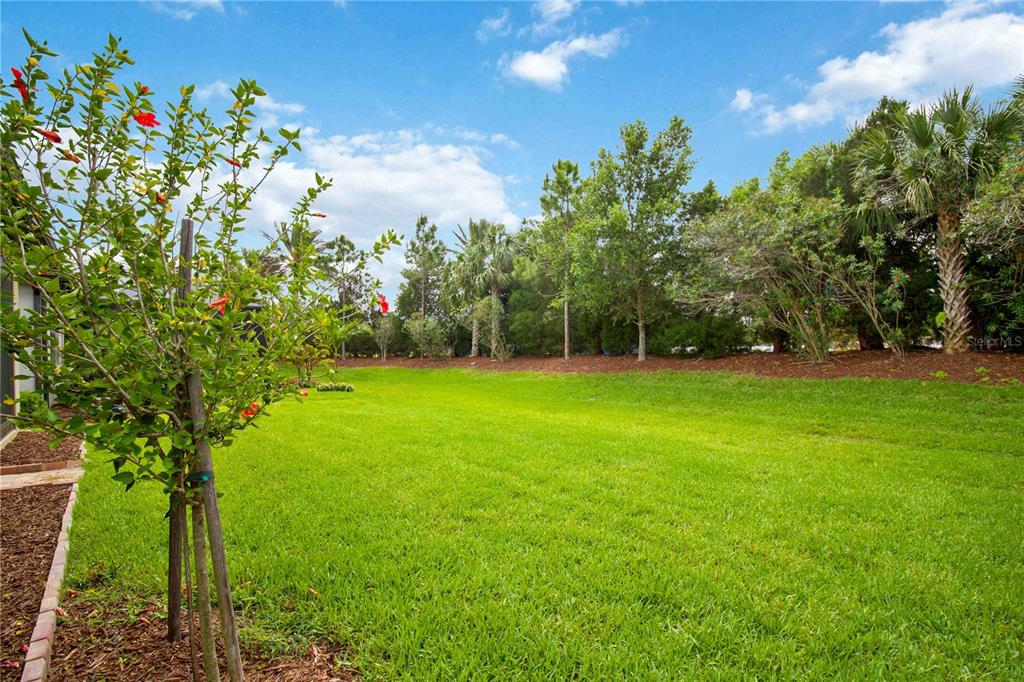 6713 Alstead Circle Lakewood Ranch, FL 34202 - Photo 31 of 35 a view of yard with grass and a trees
