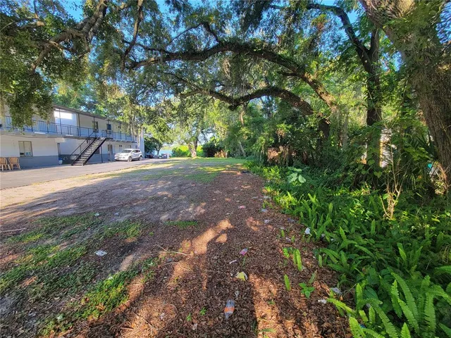 a view of a yard with plants and trees