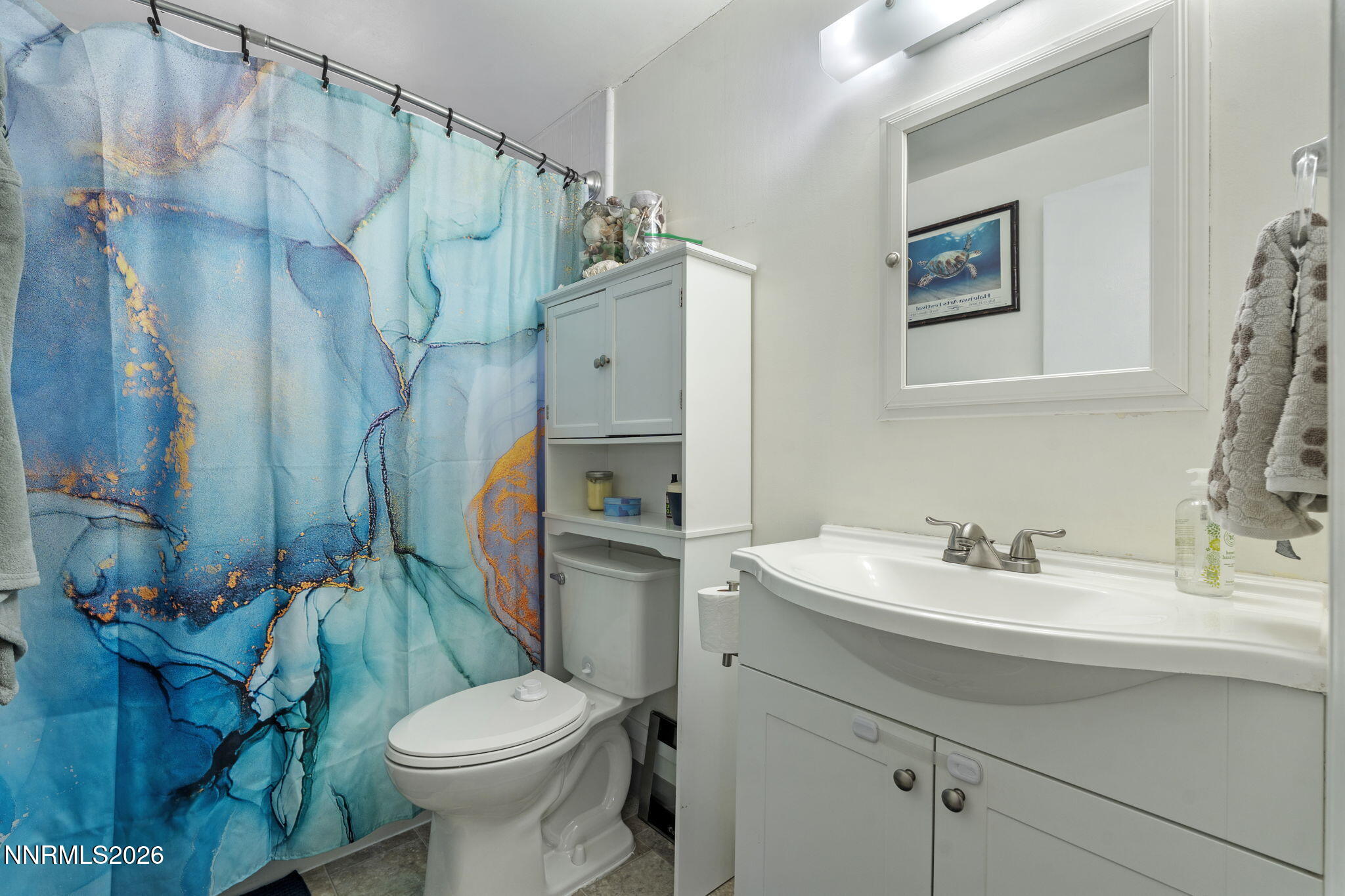 2060 Carlin Street Reno, NV 89503 - Photo 32 of 47 32-web-or-mls-DSC05355