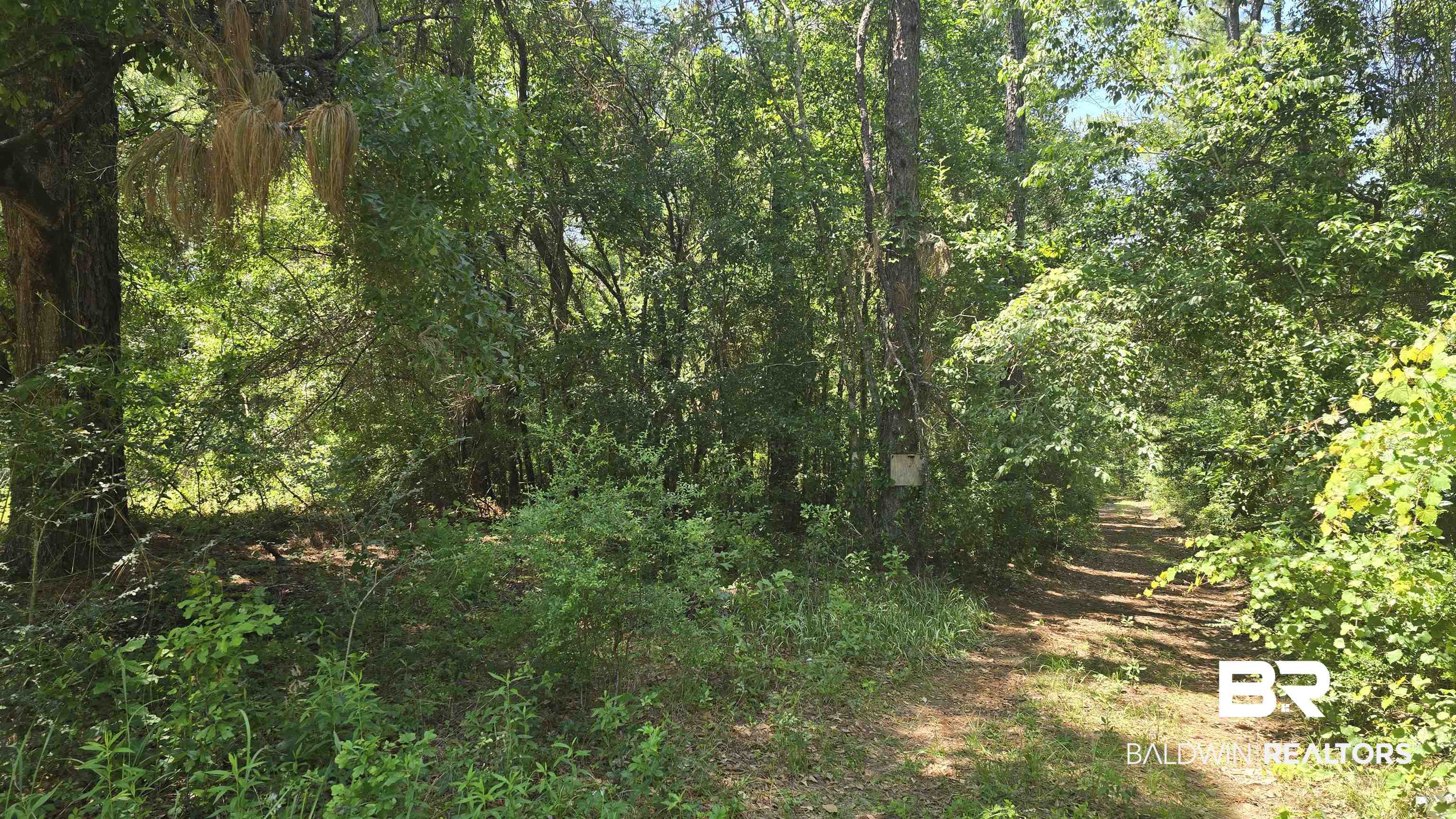 0 Toler Road Silverhill, AL 36576 - Photo 2 of 9